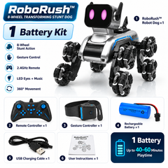 1 Battery