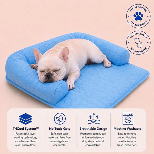 TIVEXE™ ChillNest Pro | Cooling Dog Bed with Washable Cover